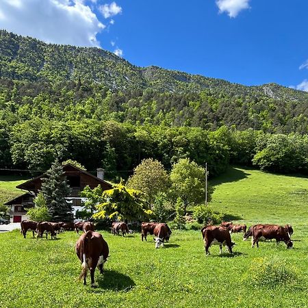 Appartement Lapreski, Spacieux, Proche Lac D'Annecy, Randonnees Montagne Thônes Exteriér fotografie