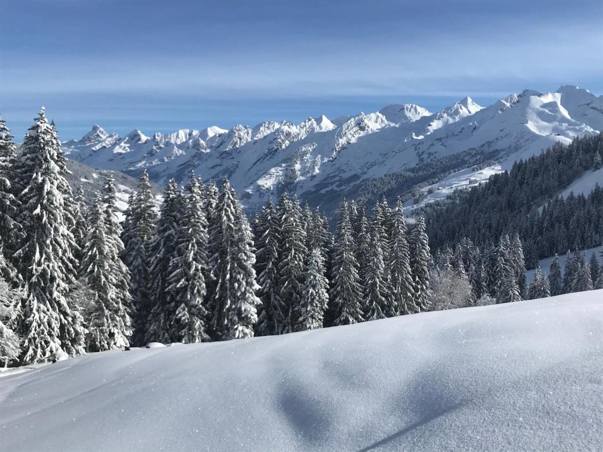 Appartement Lapreski, Spacieux, Proche Lac D'Annecy, Randonnees Montagne Thônes Exteriér fotografie
