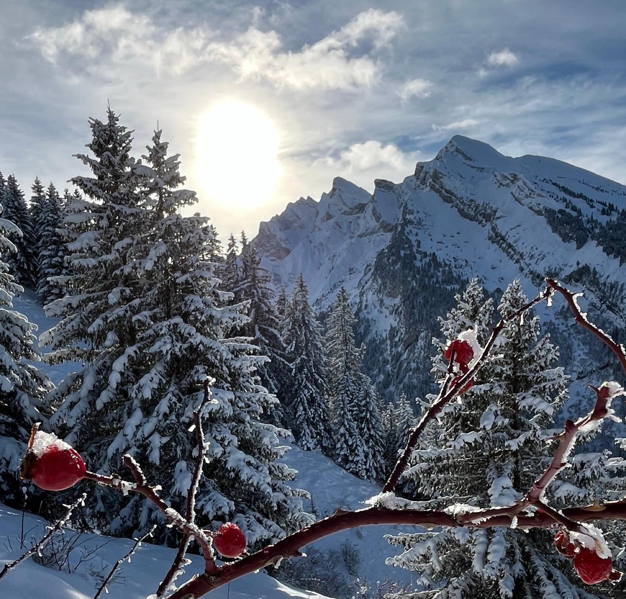 Appartement Lapreski, Spacieux, Proche Lac D'Annecy, Randonnees Montagne Thônes Exteriér fotografie