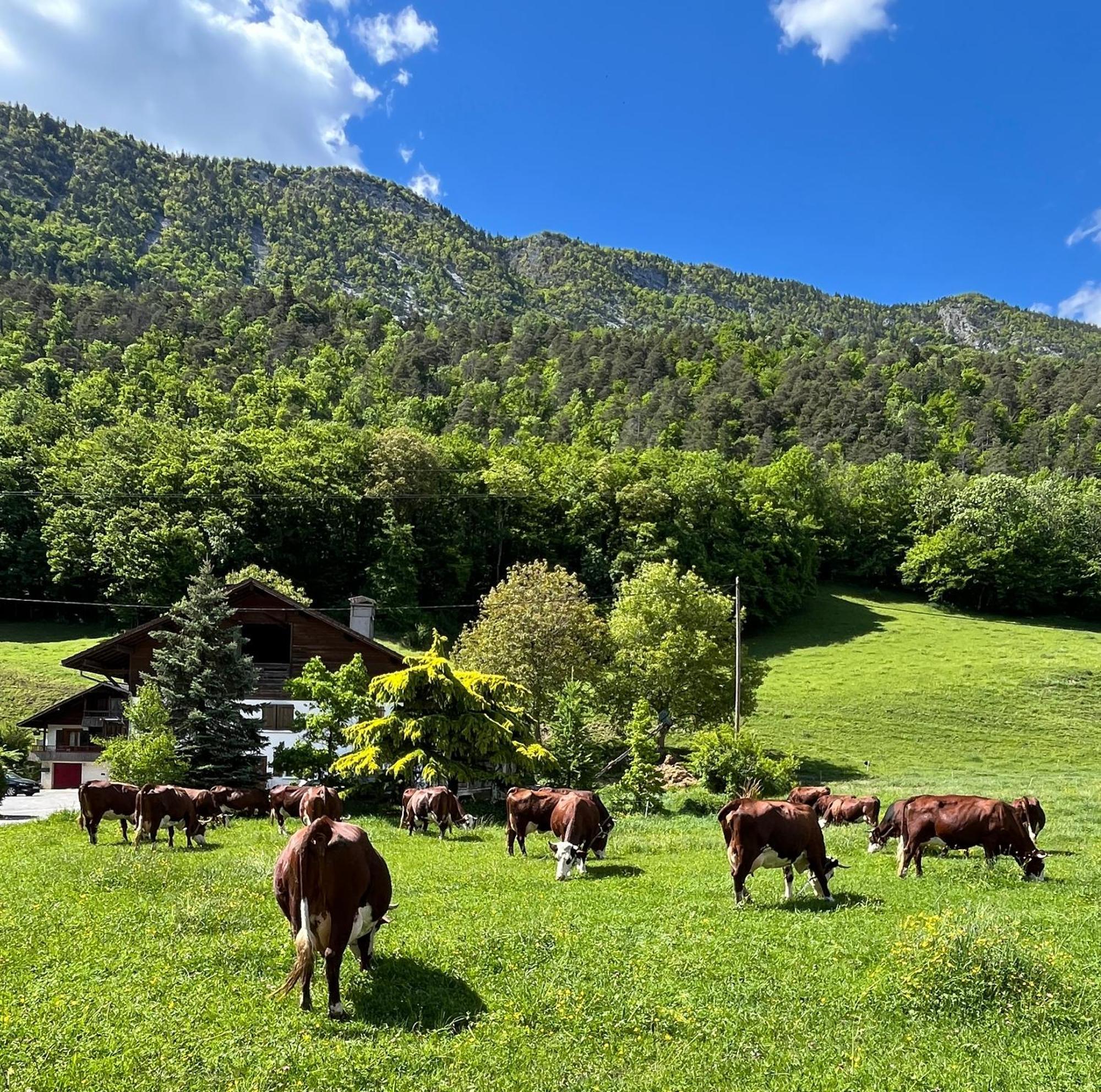 Appartement Lapreski, Spacieux, Proche Lac D'Annecy, Randonnees Montagne Thônes Exteriér fotografie